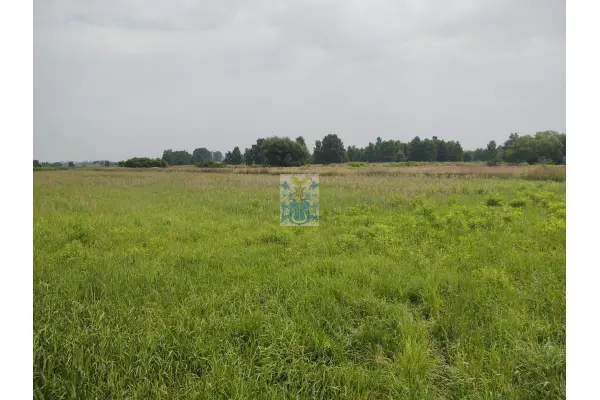 małopolskie, krakowski, Skawina, Ochodza, Skawina - Ochodza Działka inwestycyjna 51,46a